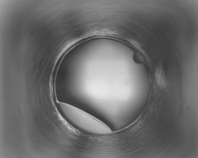 X0000051251032200506170836