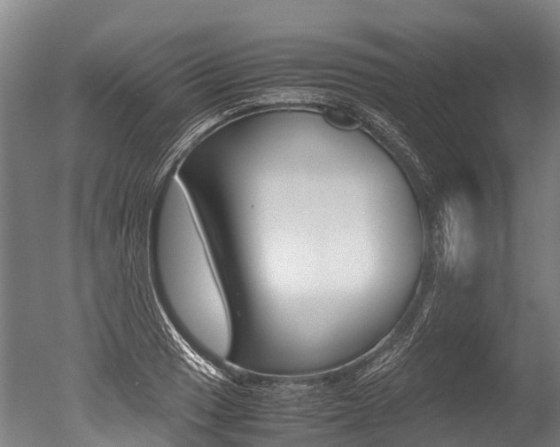 X0000051251033200506170836