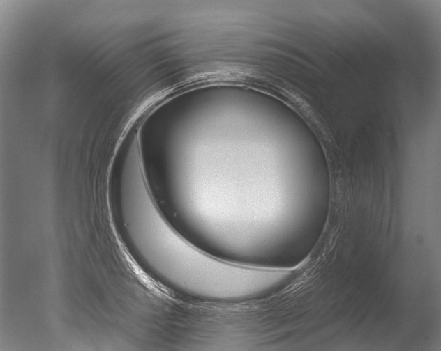 X0000051251034200506170836