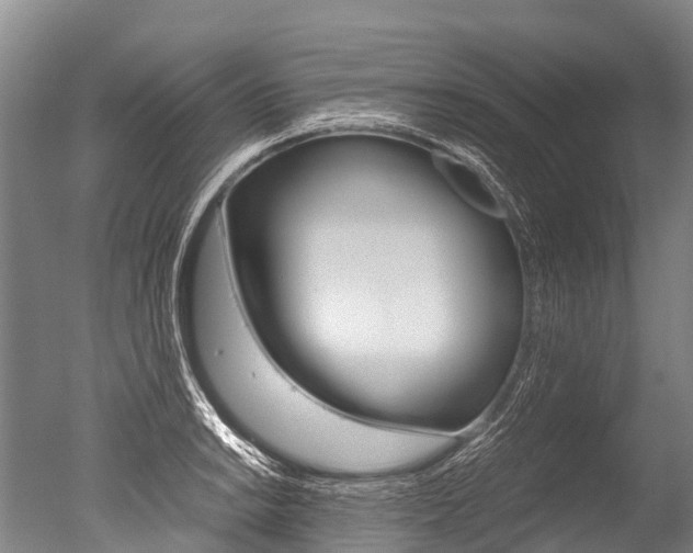 X0000051251038200506170836