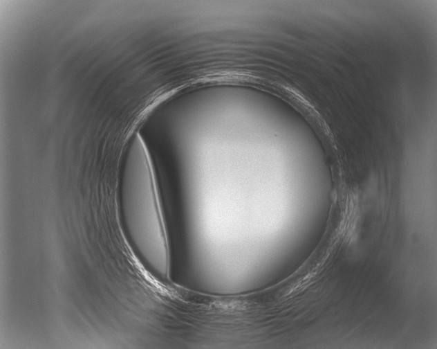 X0000051251041200506170836