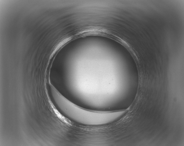 X0000051251042200506170836