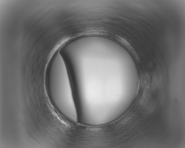 X0000051251043200506170837