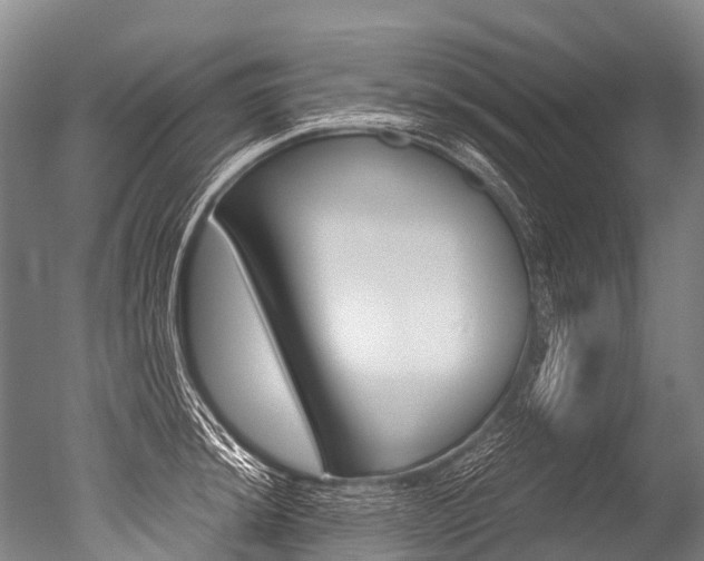 X0000051251044200506170837
