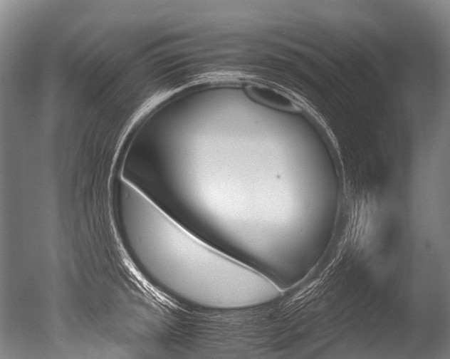X0000051251045200506170837