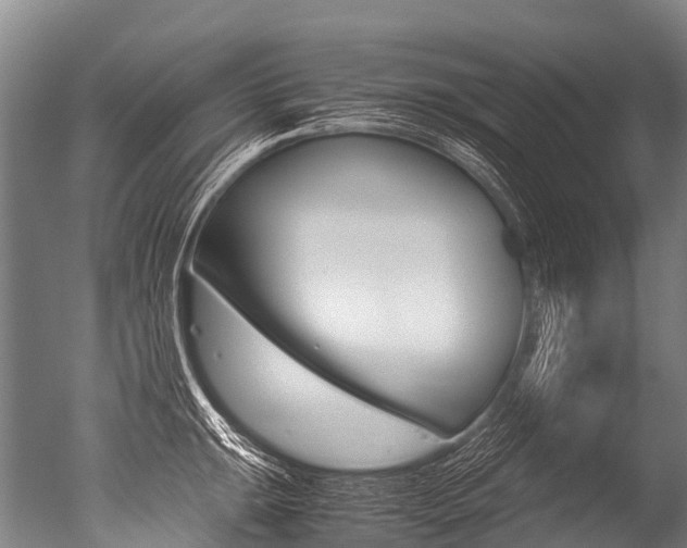 X0000051251047200506170837