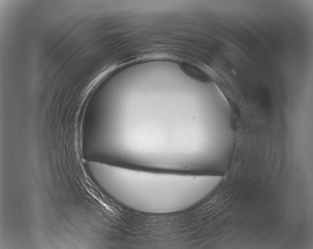 X0000051251051200506170837