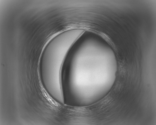 X0000051251052200506170837