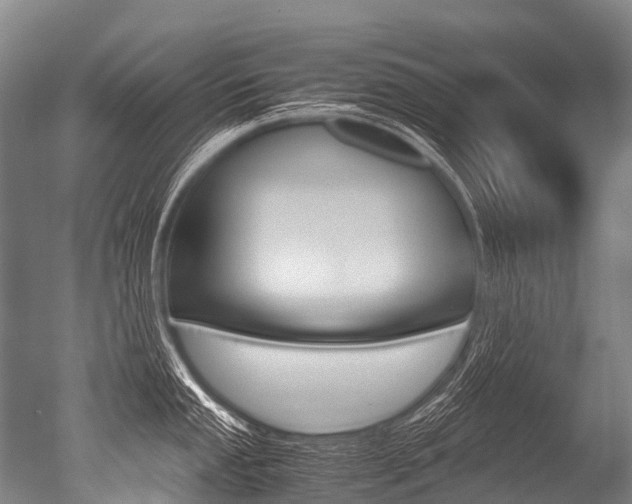 X0000051251053200506170837