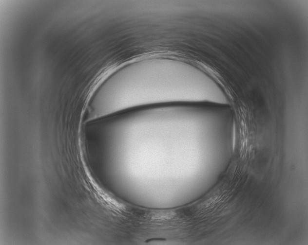 X0000051251055200506170837