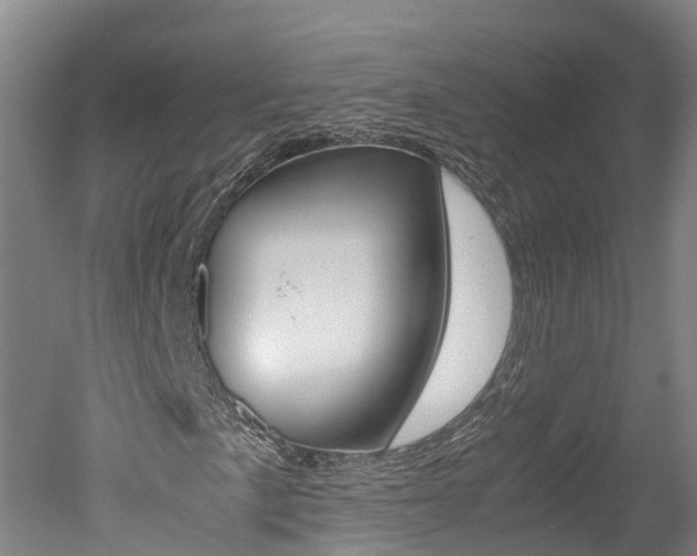 X0000051251057200506170836