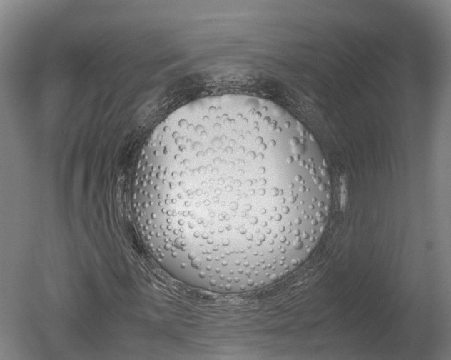 X0000051251059200506170836