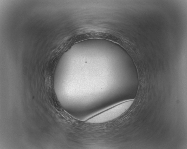 X0000051251061200506170836