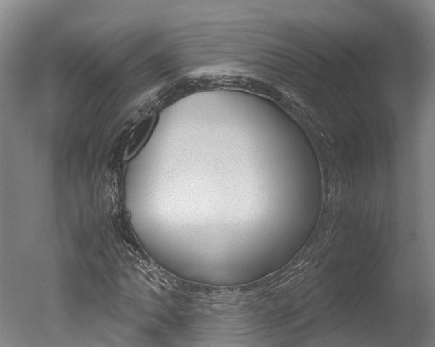 X0000051251062200506170836