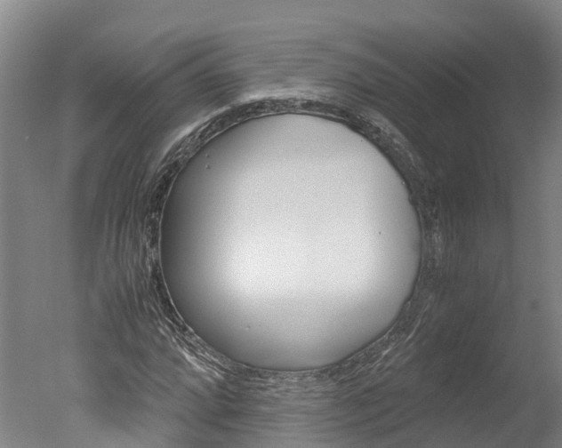 X0000051251064200506170836