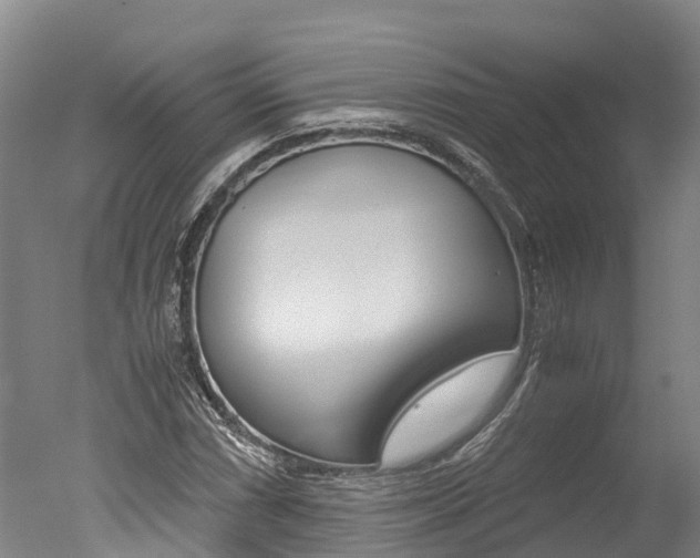 X0000051251066200506170836