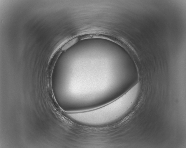 X0000051251069200506170836