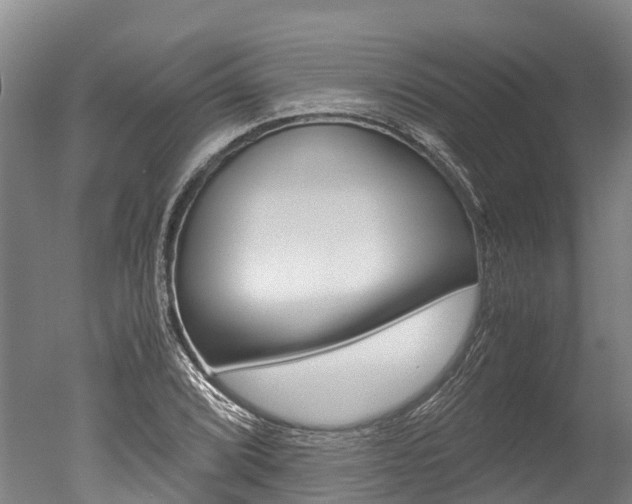 X0000051251072200506170836