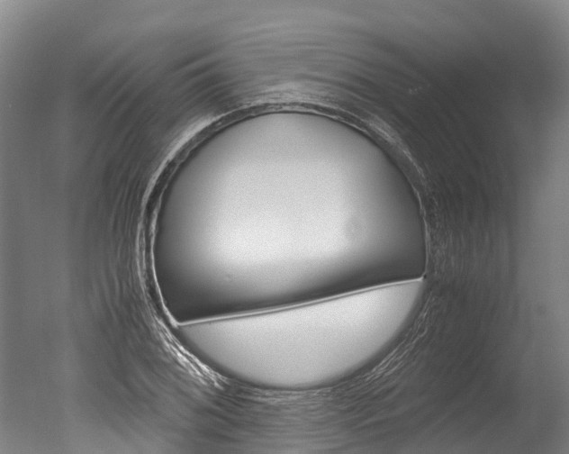 X0000051251076200506170836