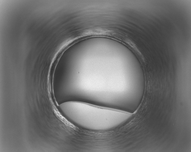 X0000051251080200506170836