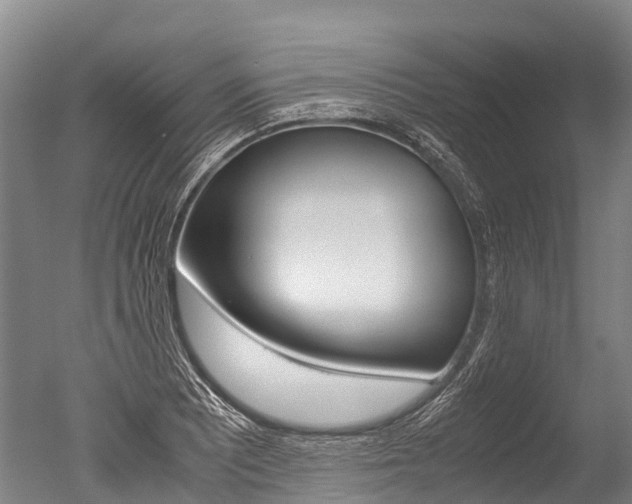 X0000051251081200506170836