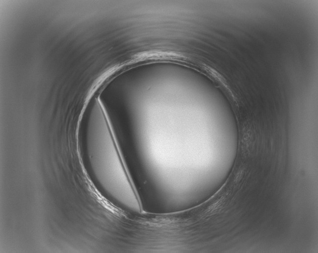 X0000051251082200506170835