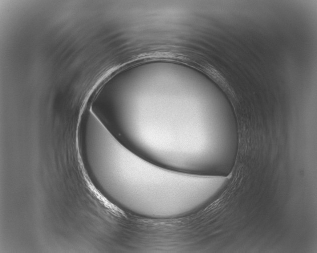 X0000051251084200506170835