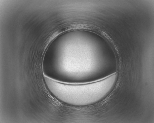 X0000051251089200506170835