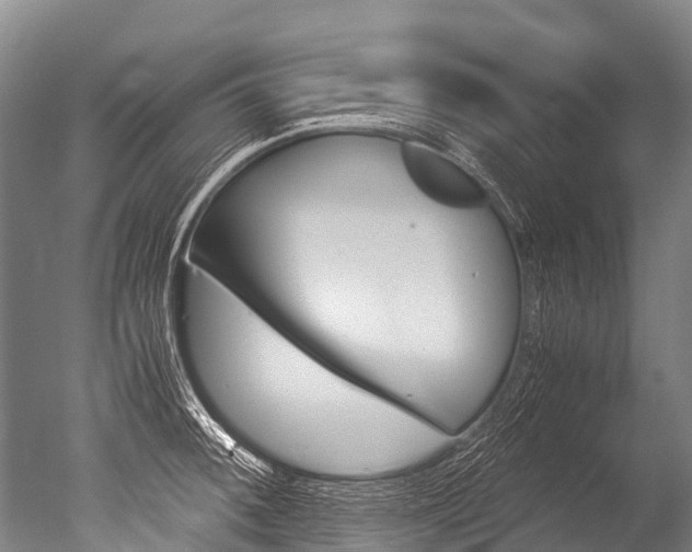X0000051251092200506170835