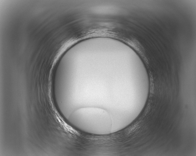 X0000051251094200506170835