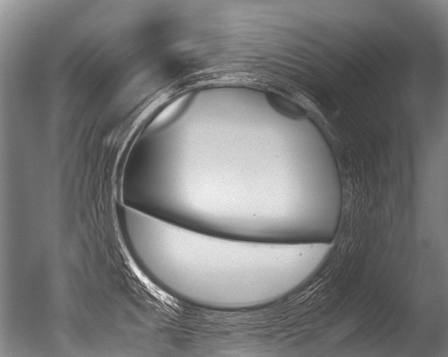 X0000051251095200506170835