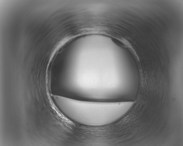 X0000051251096200506170835