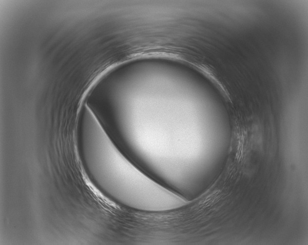 X0000051251100200506170835