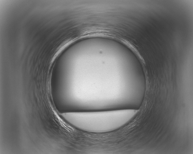 X0000051251101200506170835