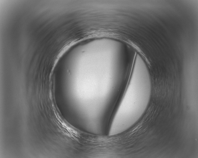 X0000051251102200506170835
