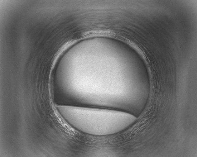 X0000051251104200506170835