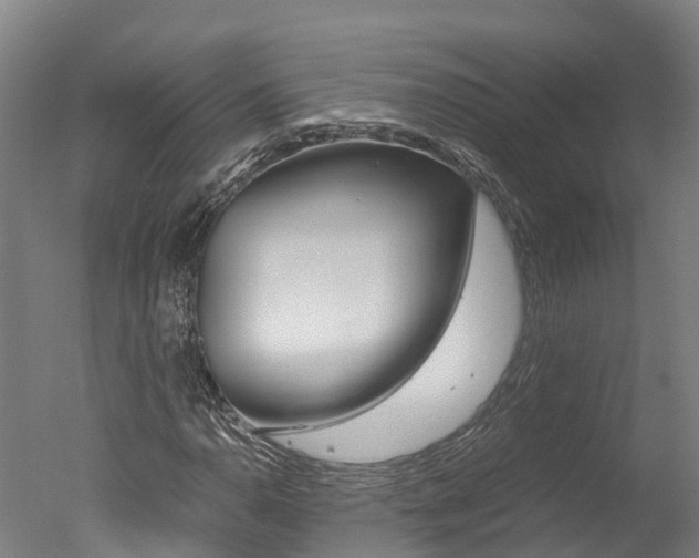 X0000051251110200506170834