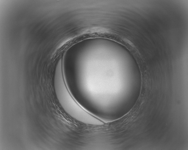 X0000051251112200506170834