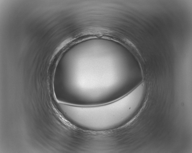 X0000051251114200506170834