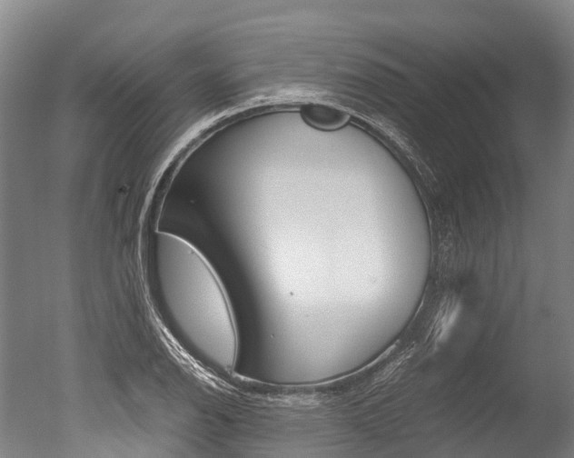 X0000051251126200506170835
