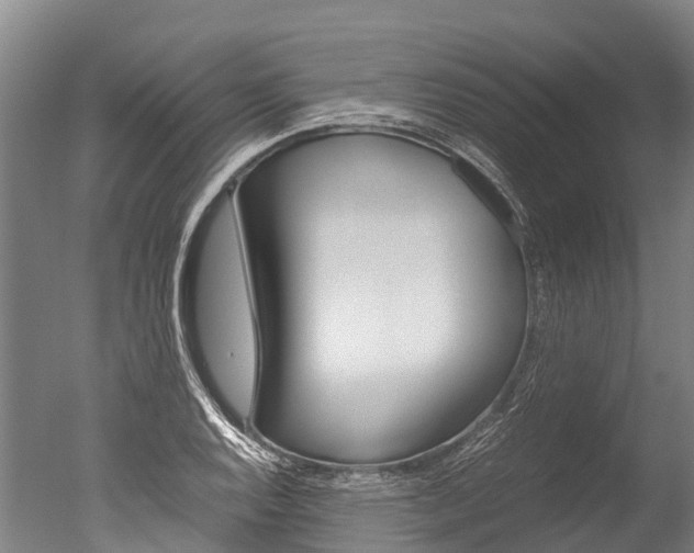 X0000051251128200506170835