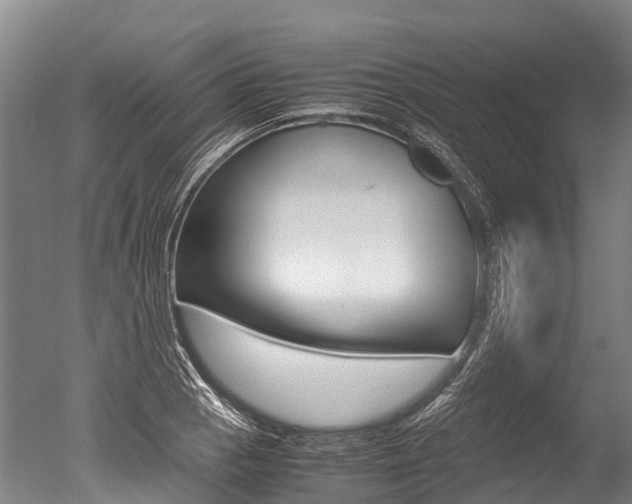 X0000051251129200506170835