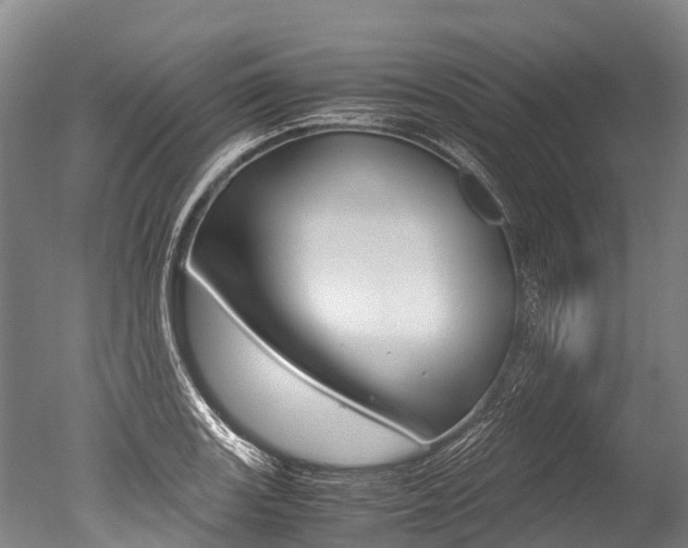 X0000051251131200506170835