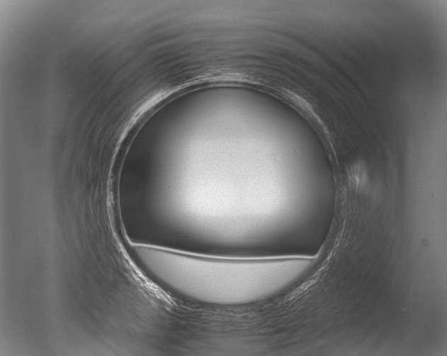 X0000051251133200506170835
