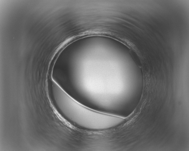 X0000051251134200506170835