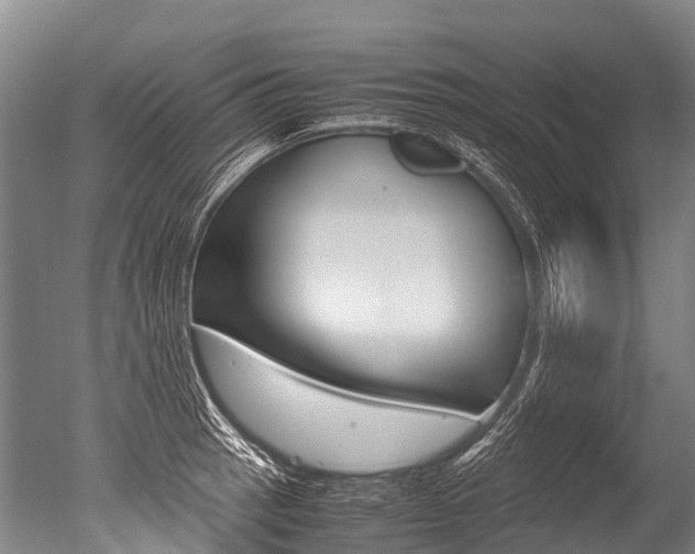 X0000051251137200506170835