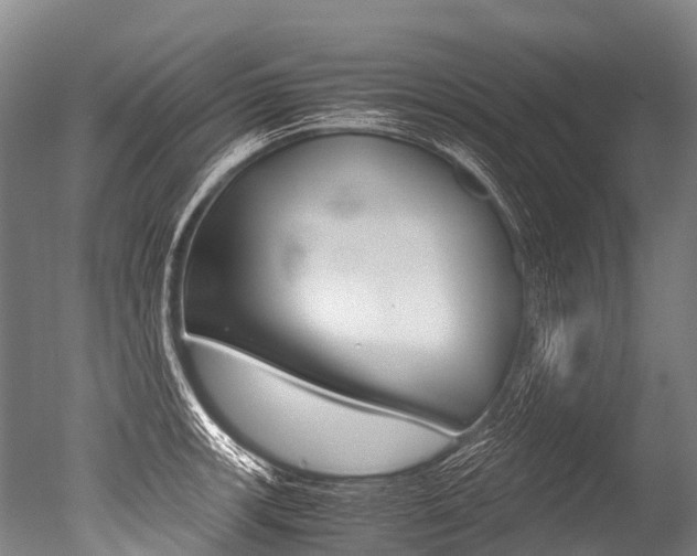X0000051251139200506170835