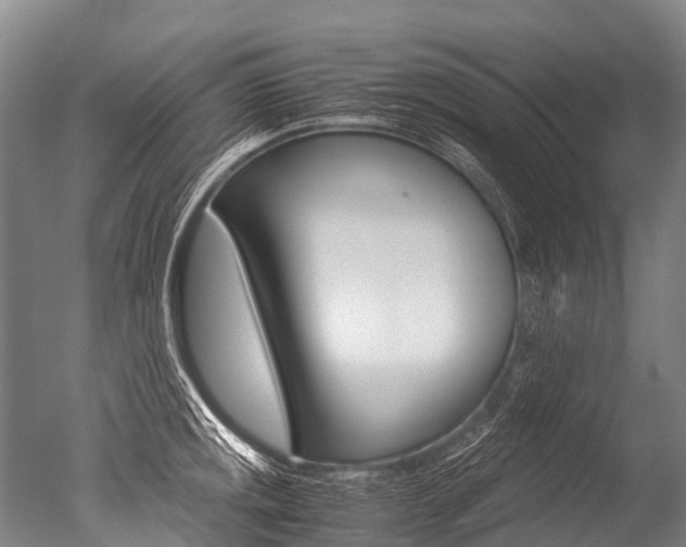 X0000051251141200506170835