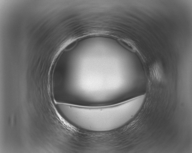 X0000051251143200506170835