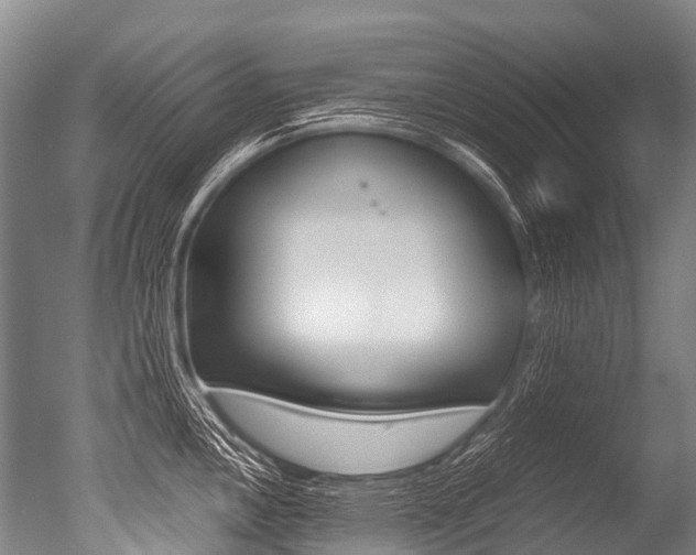 X0000051251146200506170835